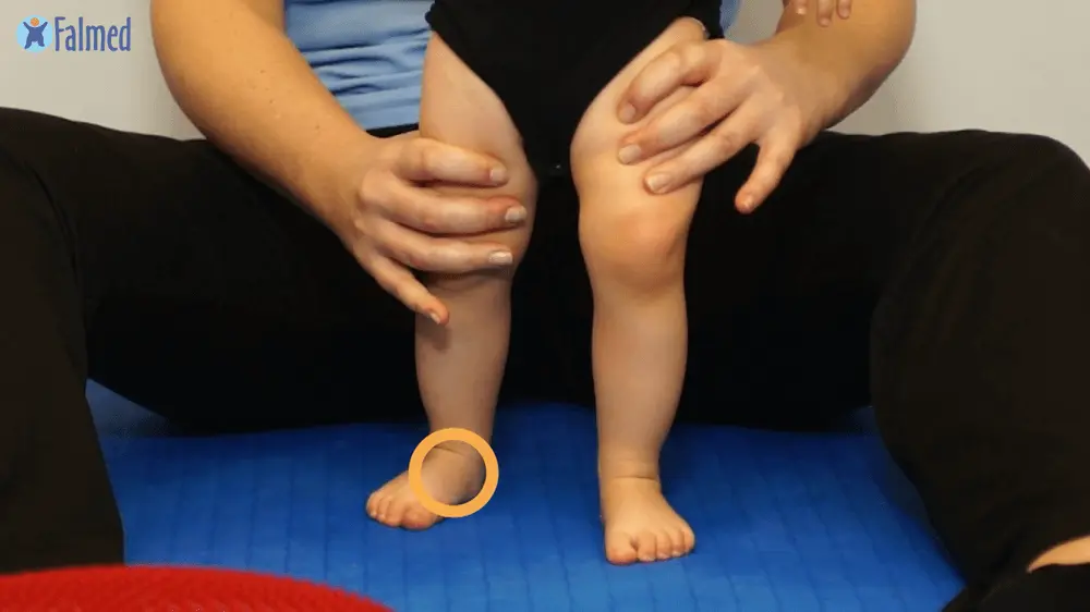 balans-w-staniu_moduly