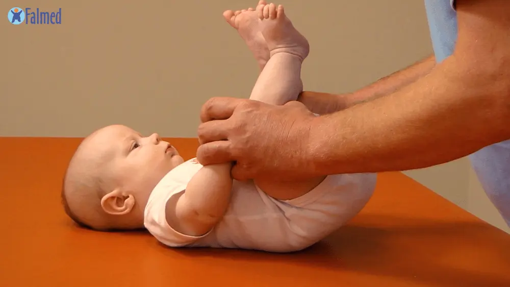 wysoka-pupa-kontynuacja